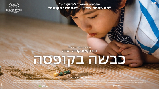 תמונת מופע: כבשה בקופסה &vert; Sheep in the Box